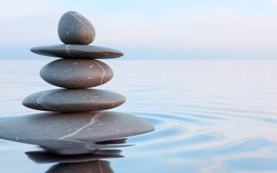 Achtsamkeit ist kein Rückzug – sondern ein radikales Hineingehen