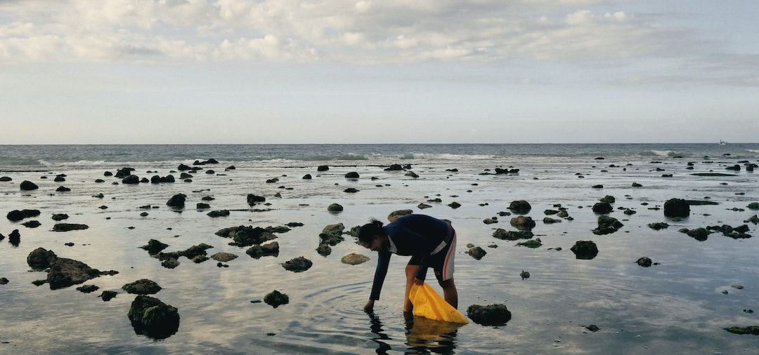 Verborgenes erscheinen lassen