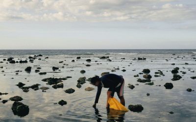 Verborgenes erscheinen lassen
