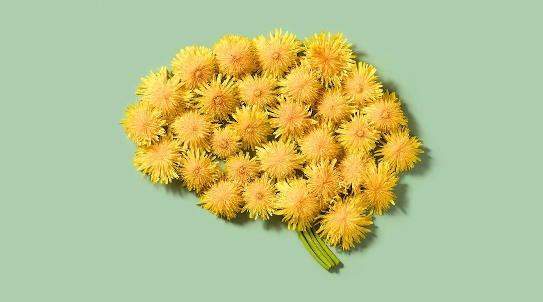 Aufmerksamkeit ist der Motor neurologischer Veränderungen