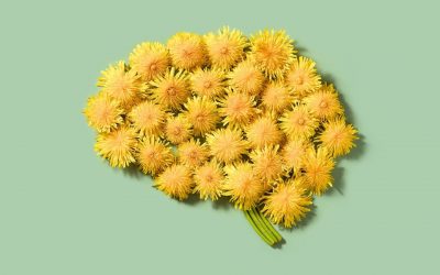 Aufmerksamkeit ist der Motor neurologischer Veränderungen